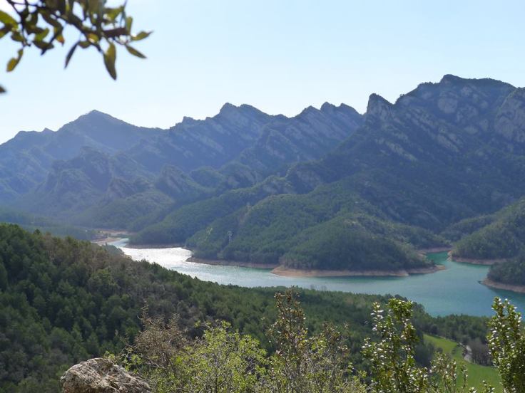 12936670_1723536037906562_3597850921337313209_n[1]