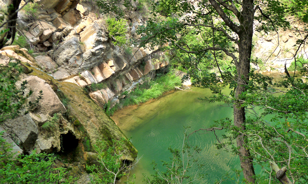 entorn_Cabanya-Boscana_1