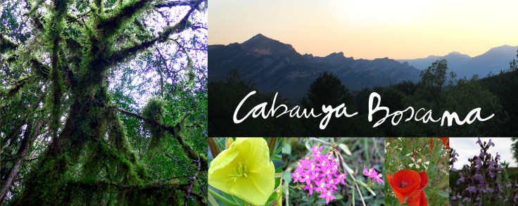 entorn_Cabanya-Boscana_presentacio