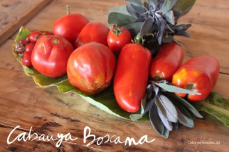 hort_Cabanya-Boscana