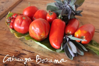 hort_Cabanya-Boscana