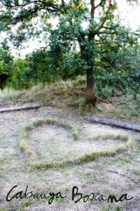 jardi-medicinal_Cabanya-Boscana