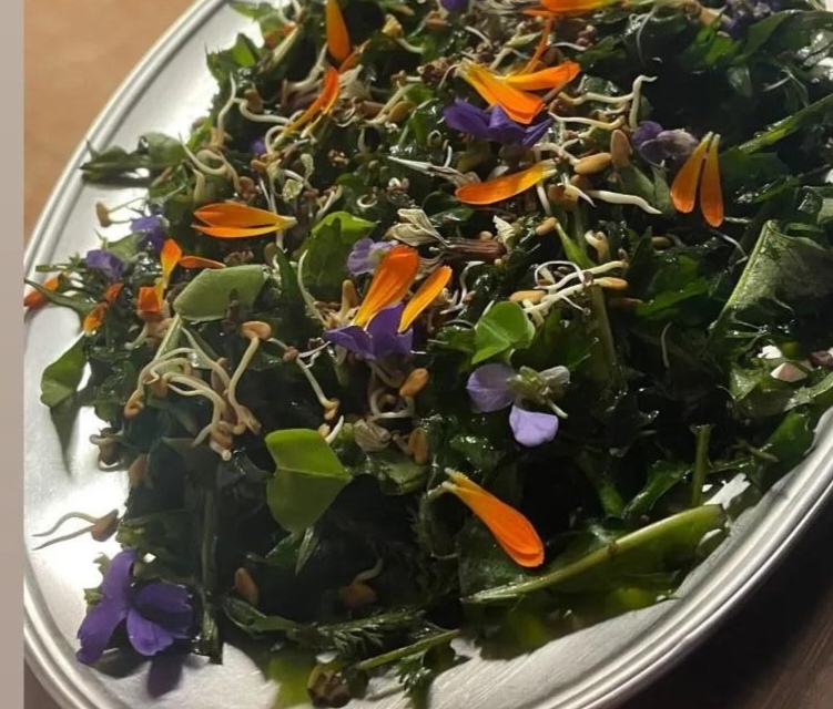 La tardor és una època de deixar anar, de canvi, si observem la natura és el moment en que cauen totes les fulles i la sàvia va cap a les arrels, de recolliment, preparant per hivernar, . Segons la tradició oriental l’element de la tardor és el metall, la neteja i drenatge per preparar per l’hivern, per eliminar toxines i reforçar el cos. Si observem la natura, per tot arreu trobarem fulles que estan brotant, són ben tendres, verdes, plenes de clorofil.la, que és el que ens interessa. Són plantes amargants i picants, és el sabor que ens ajuda a depurar. Per a mi, el canvi d’estació, els equinoccis, és un molt bon moment per començar a menjar aquesta amanida silvestre, que us proposo. És un aport de moltes vitamines i minerals, el fet de menjar-les crues i fresques absorbim al 100% de les seves propietats.